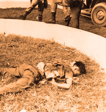 Dead PLAF fighter