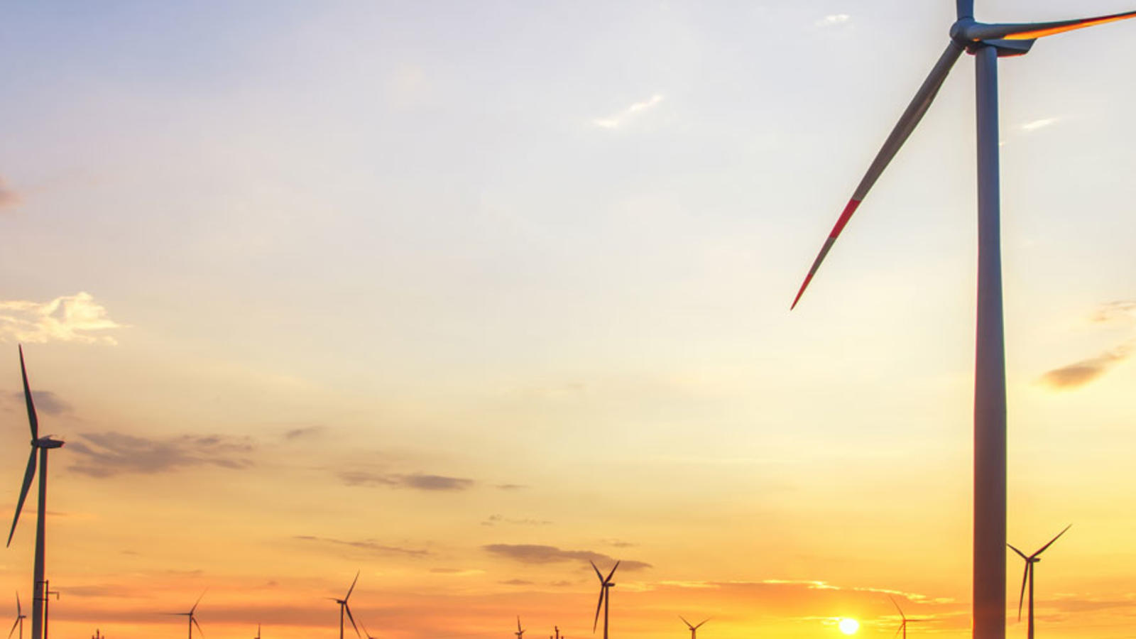 Wind farm